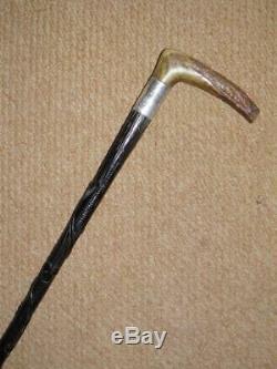 Antique Hallmark Silver 1902 Irish Bog Oak Hand Carved Clover Walking Cane/stick