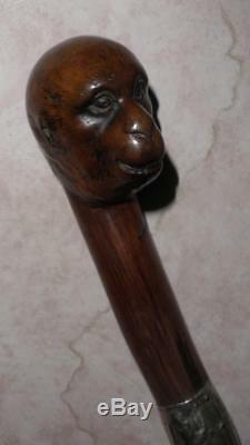 Antique Hallmarked Silver Hand Carved Monkey Top Walking Cane 89cm
