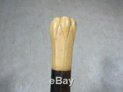 Antique Hand Carved Animal Bone Garlic Bulb Floret Handle Walking Stick 1800's