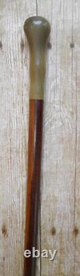 Antique Hand Carved Bovine Horn Pommel 2 Toned Ebony Walking Stick / Cane 87.5cm