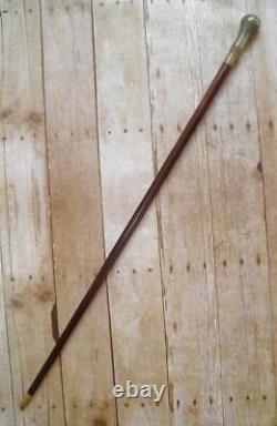 Antique Hand Carved Bovine Horn Pommel 2 Toned Ebony Walking Stick / Cane 87.5cm