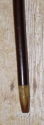 Antique Hand Carved Bovine Horn Pommel 2 Toned Ebony Walking Stick / Cane 87.5cm