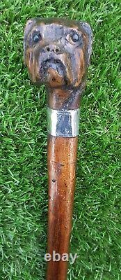 Antique Hand Carved Boxer Dog Walking Stick Glass Eyes Silver Collar London 1886