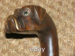 Antique Hand Carved British Bulldog Head Walking Stick With Glass Eyes