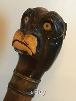 Antique Hand Carved Bulldog Walking Stick/Cane