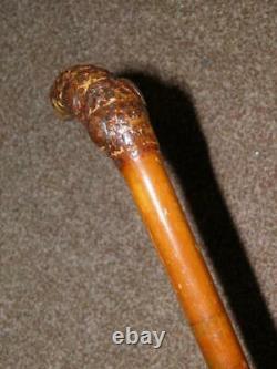 Antique Hand Carved Burr Root Topped Light Weight Walking Cane 89cm