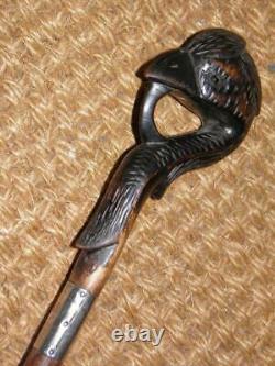 Antique Hand-Carved Exotic Bird Walking Stick/Cane Hallmarked Silver Collar