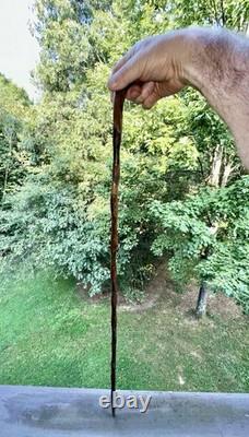 Antique Hand Carved Folk Art Eagle Head Twisted Burley Wood Walking Stick Cane