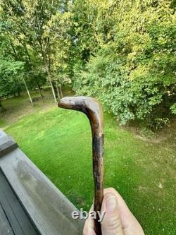 Antique Hand Carved Folk Art Eagle Head Twisted Burley Wood Walking Stick Cane
