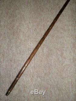 Antique Hand-Carved Fox Crook Handle Walking Stick With H/M Gold Collar 9CT'1919