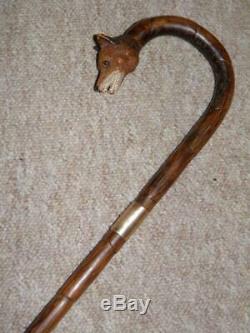 Antique Hand-Carved Fox Crook Handle Walking Stick With H/M Gold Collar 9CT'1919