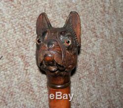 Antique Hand Carved French Bulldog Glove Holder Walking Stick With H/M Gold 1924