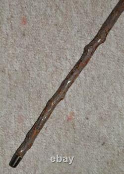 Antique Hand-Carved Holly Bark Tree Branch Walking Cane Bovine Horn Handle