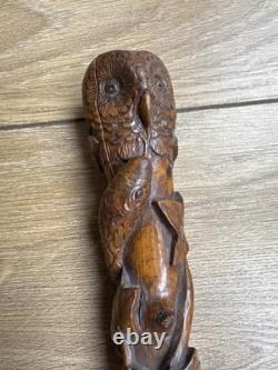 Antique Hand Carved Owl & Snake Walking Stick Cane One-Piece Hardwood c. 1900