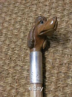 Antique Hand-Carved Poodle Walking Stick Hallmarked Silver Collar London 1898