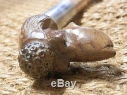 Antique Hand-Carved Poodle Walking Stick Hallmarked Silver Collar London 1898