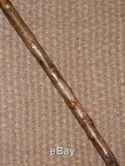 Antique Hand Carved Rabbie Burns Head Handle Holly Walking Stick 88.5cm