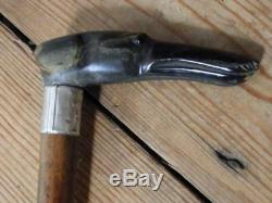Antique Hand Carved Shaft And Glass Eyed Dogs Head Walking Stick London 1887