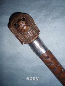 Antique Hand Carved Spaniel Top Hallmarked Silver 1894 Walking Stick/Cane. 34