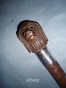 Antique Hand Carved Spaniel Top Hallmarked Silver 1894 Walking Stick/Cane. 34