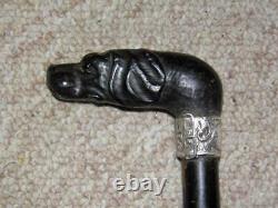 Antique Hand-Carved Treen Great Dane Top Walking Stick/Cane-Silver Buckle Collar
