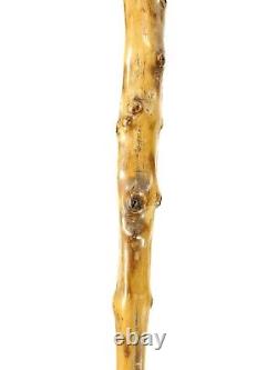 Antique Hand Carved Walking Stick Cane of Salamander or Gecko with Glass Eyes