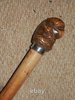 Antique Hand-carved Treen Parrot Continental Silver 800 Collar Walking Stick