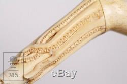 Antique Handmade Bone Carved Cane / Walking Stick Octopus Handle C. 1920