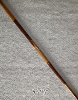 Antique Hardwood Sections Walking Stick Cane Hand-Carved Hippo With Glass Eyes