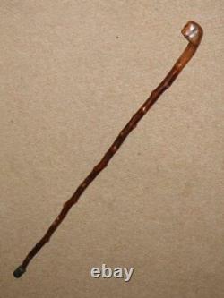 Antique Hawthorn Walking Stick Pommel Top With Hand-Carved Grotesque Face 84cm