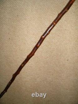 Antique Hawthorn Walking Stick Pommel Top With Hand-Carved Grotesque Face 84cm