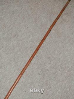 Antique Holly Walking Stick/Cane With Hand-Carved Hooked Fritz Handle 85.5cm
