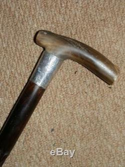 Antique Horn H/m Silver 1898 Irish Bog Oak Hand Carved Clover Walking Stick 34