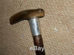 Antique Horn H/m Silver 1898 Irish Bog Oak Hand Carved Clover Walking Stick 34