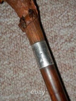 Antique Kendall Walking Stick Hand-Carved Parrot Handle Silver Collar H/m 1923