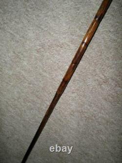 Antique Ladies Walking Stick Carved Terrier Head With Glass Eyes & Gold Collar