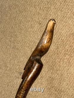 Antique Large Rustic Hazel Walking Stick / Cane Hand Carved Bird Top