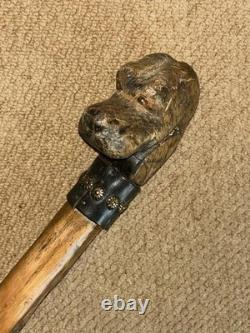 Antique Large Rustic Walking Stick Hand Carved Dog Leather & Conchos Collar