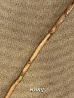 Antique Large Rustic Walking Stick Hand Carved Dog Leather & Conchos Collar