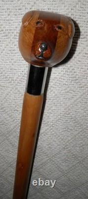 Antique Large Walking Stick / Cane With Hand Carved Dog Head & Steel Collar