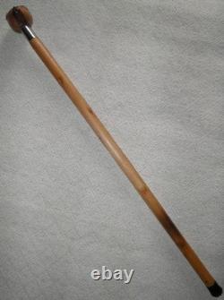 Antique Large Walking Stick / Cane With Hand Carved Dog Head & Steel Collar