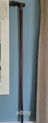 Antique Made In England Carved Dog Head Cane Walking Stick Wood 36.5