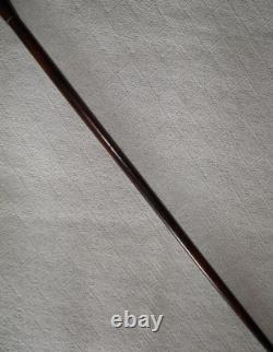 Antique Mahogany Walking Stick Cane Hand-Carved Terrier Dog Head Top Glass Eyes Antique Mahogany Walking Stick Cane Hand-Carved Terrier Dog Head Top Glass Eyes