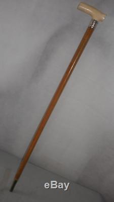Antique Malacca Cane -Lovely Carved Handle- Detailed Silver Collar- 87cm