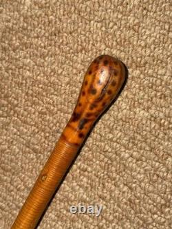 Antique Mexican Walking Stick Cane Hand Carved Pattern & Lizard Root Ball Top