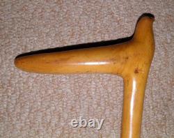 Antique Oak Walking Stick / Cane Hand-Carved Bird With Glass Eyes Twist Shaft