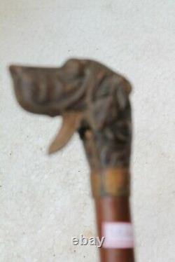 Antique Original Fine Dog Face Carved Handle Wooden English Walking Stick NH3546