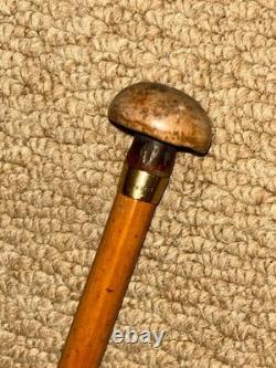 Antique Petite Show / Dress Cane Carved Mushroom Top & Gold Collar By Brigg