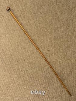 Antique Petite Show / Dress Cane Carved Mushroom Top & Gold Collar By Brigg