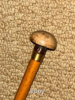 Antique Petite Show / Dress Cane Carved Mushroom Top & Gold Collar By Brigg